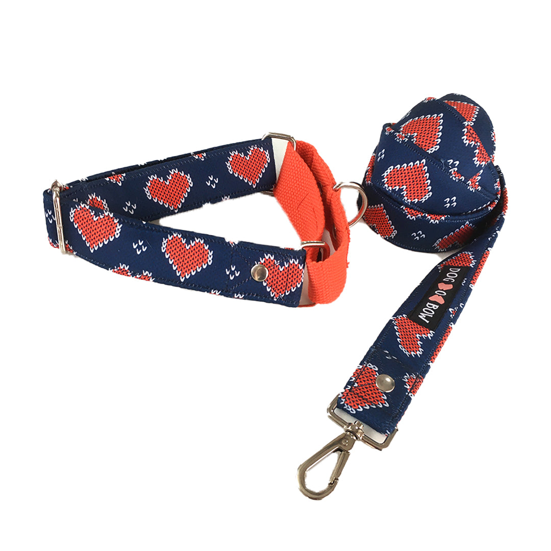 Heart Print martingale Leash combo