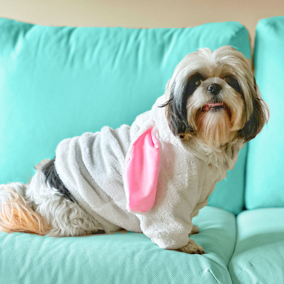 Bunny Hoodie for Pets Online Offline Dogobow Hyderabad
