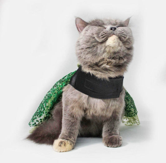 Black-Green Princess Dress
