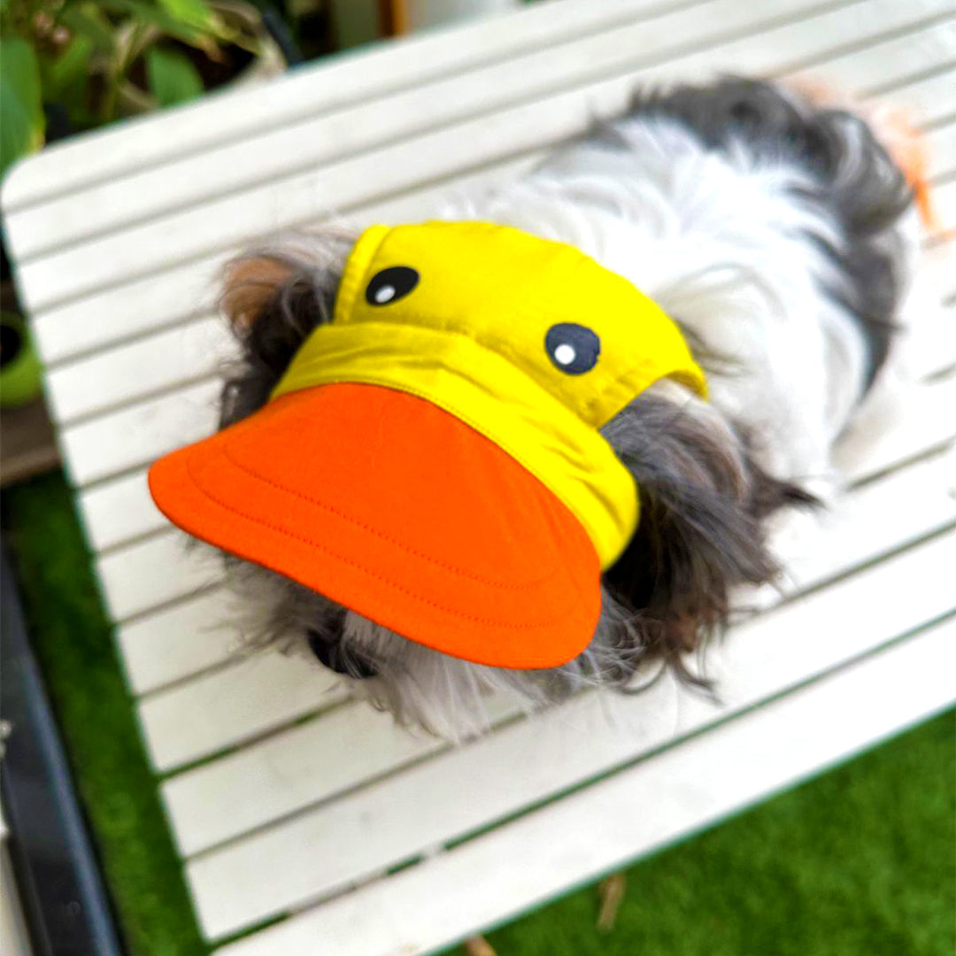 Duckie Cap