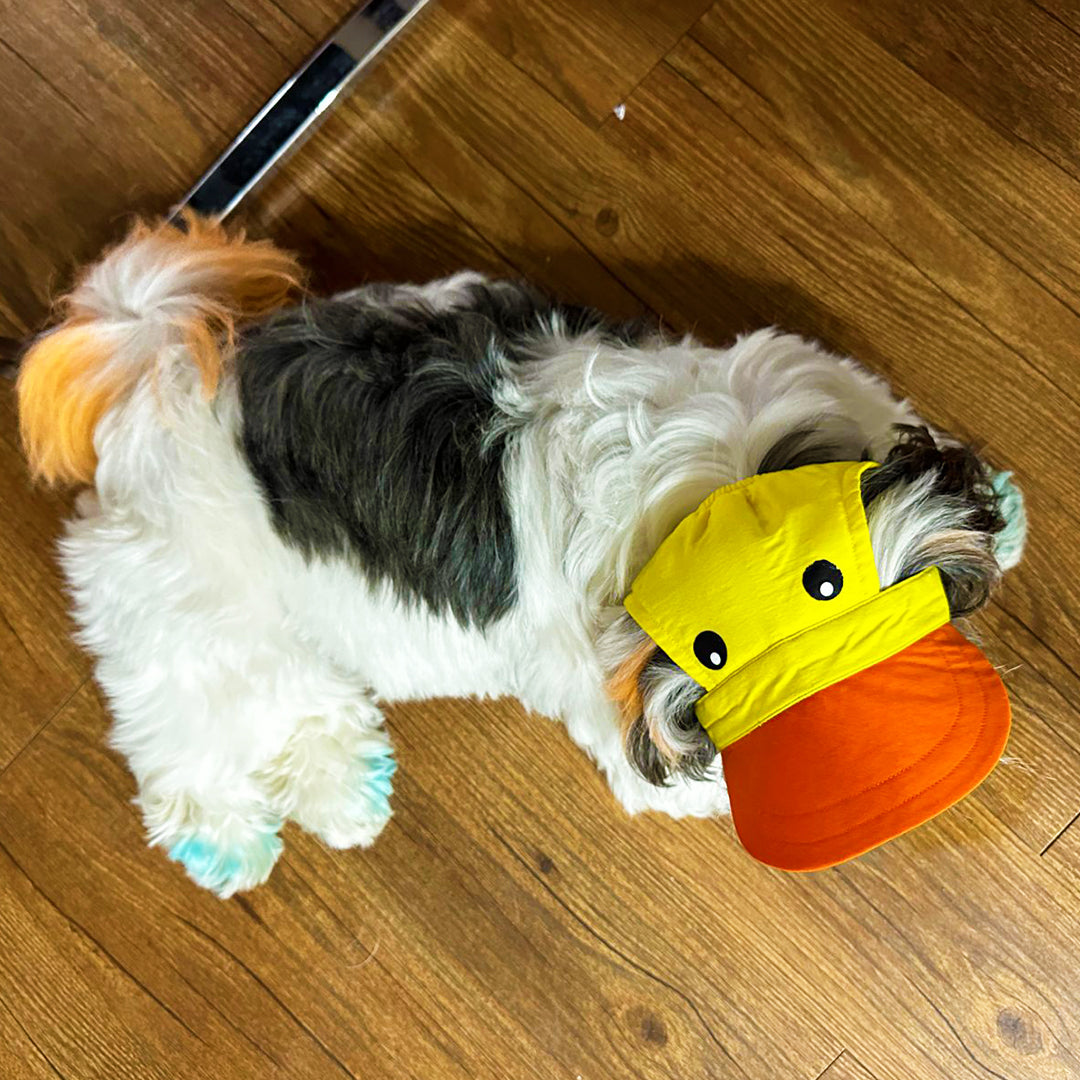 Duckie Cap