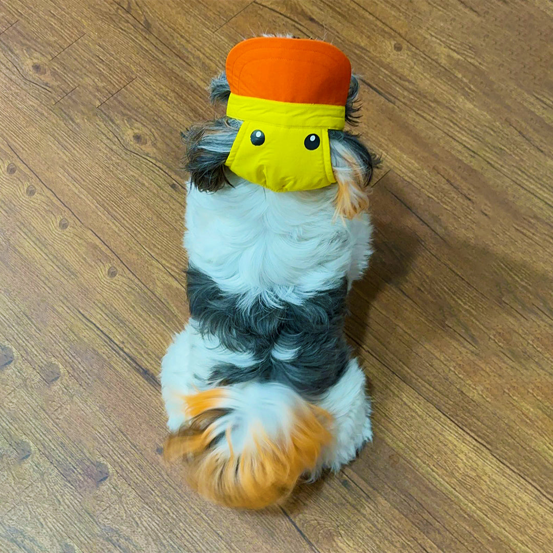 Duckie Cap