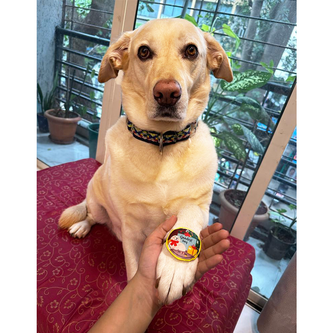 Goodest Boy Pet Rakhi