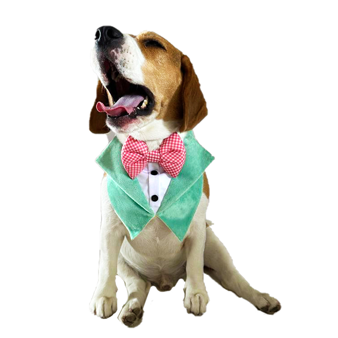 Green Velvet Tuxedo Vest Bandana