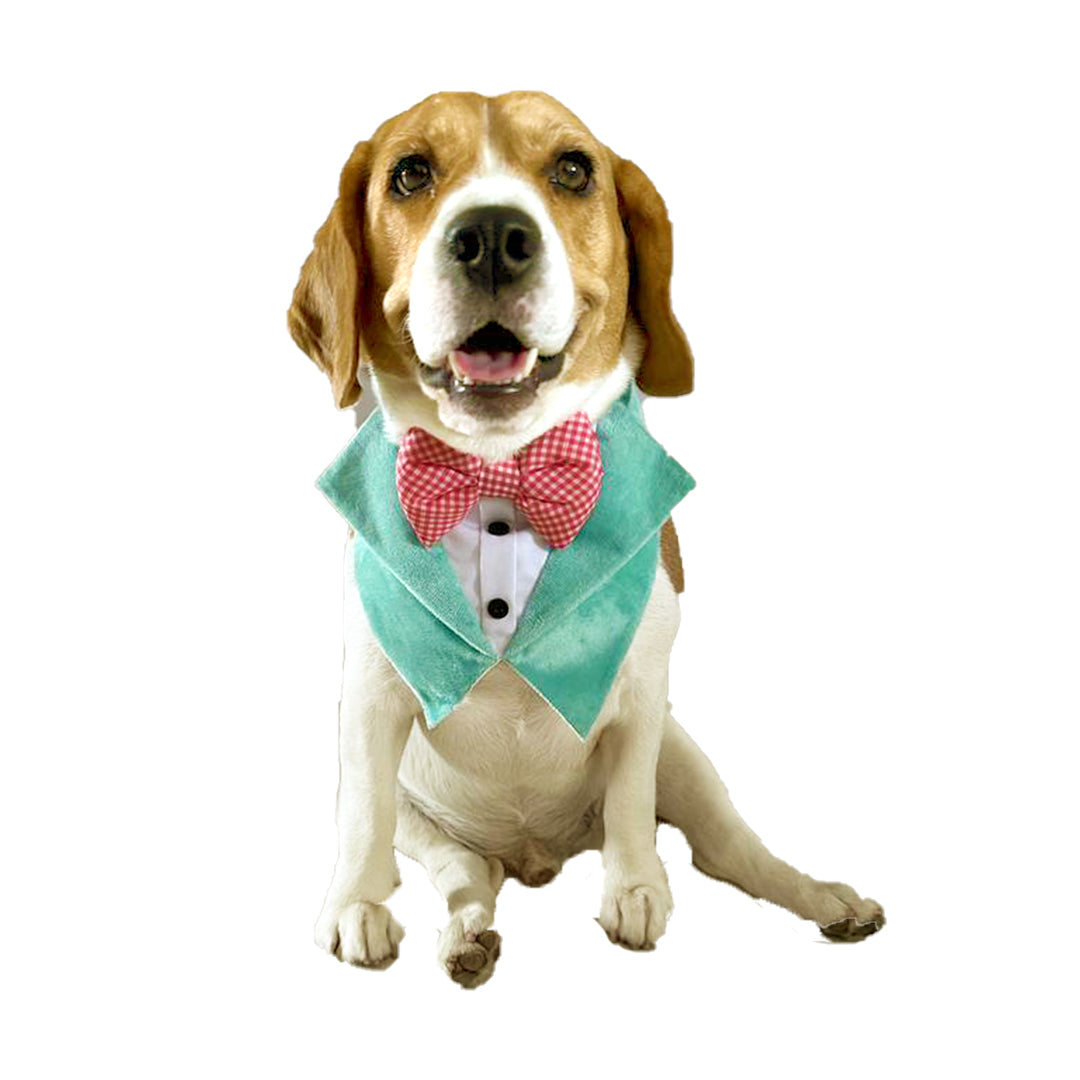 Green Velvet Tuxedo Vest Bandana