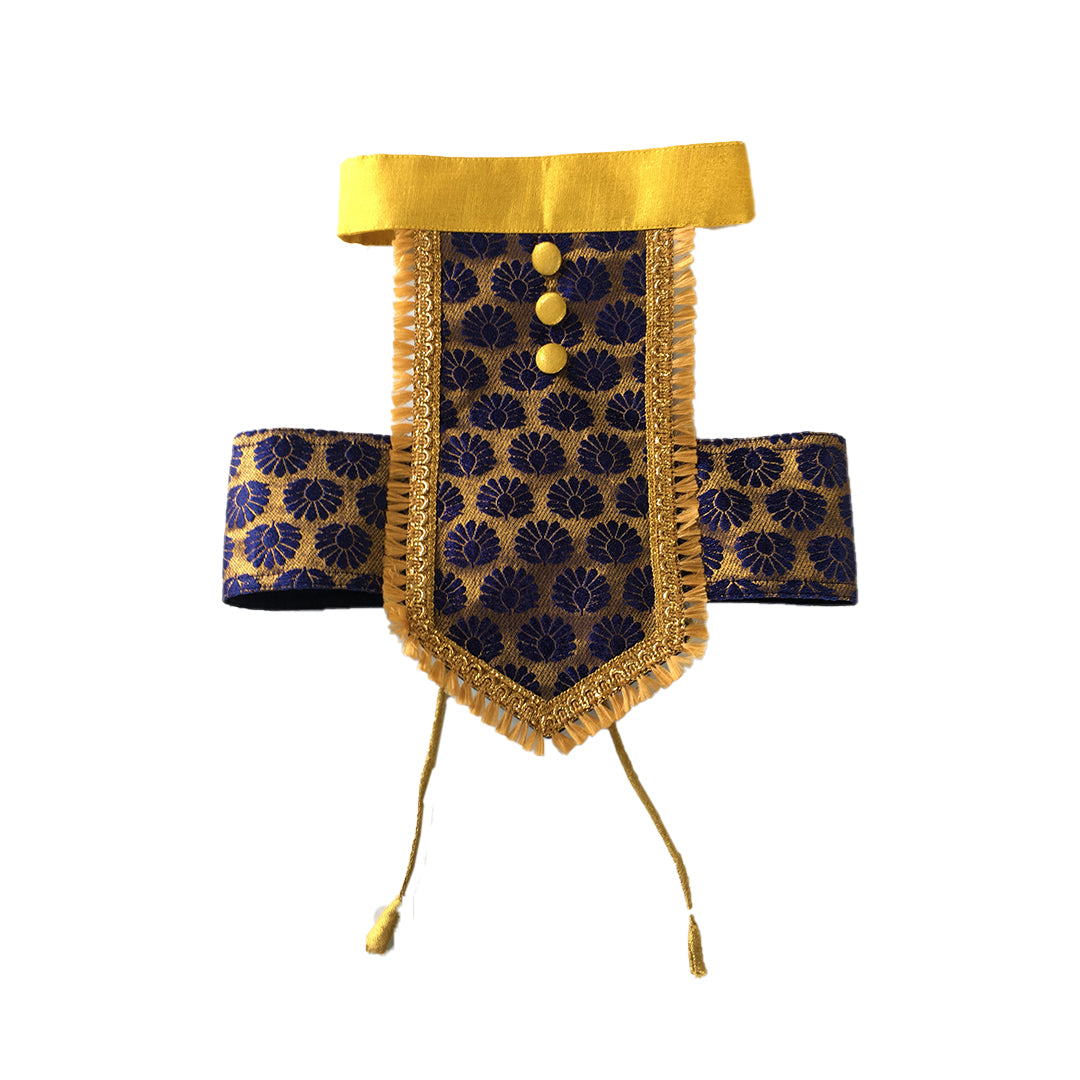 Navy Blue Backless Lehenga Choli
