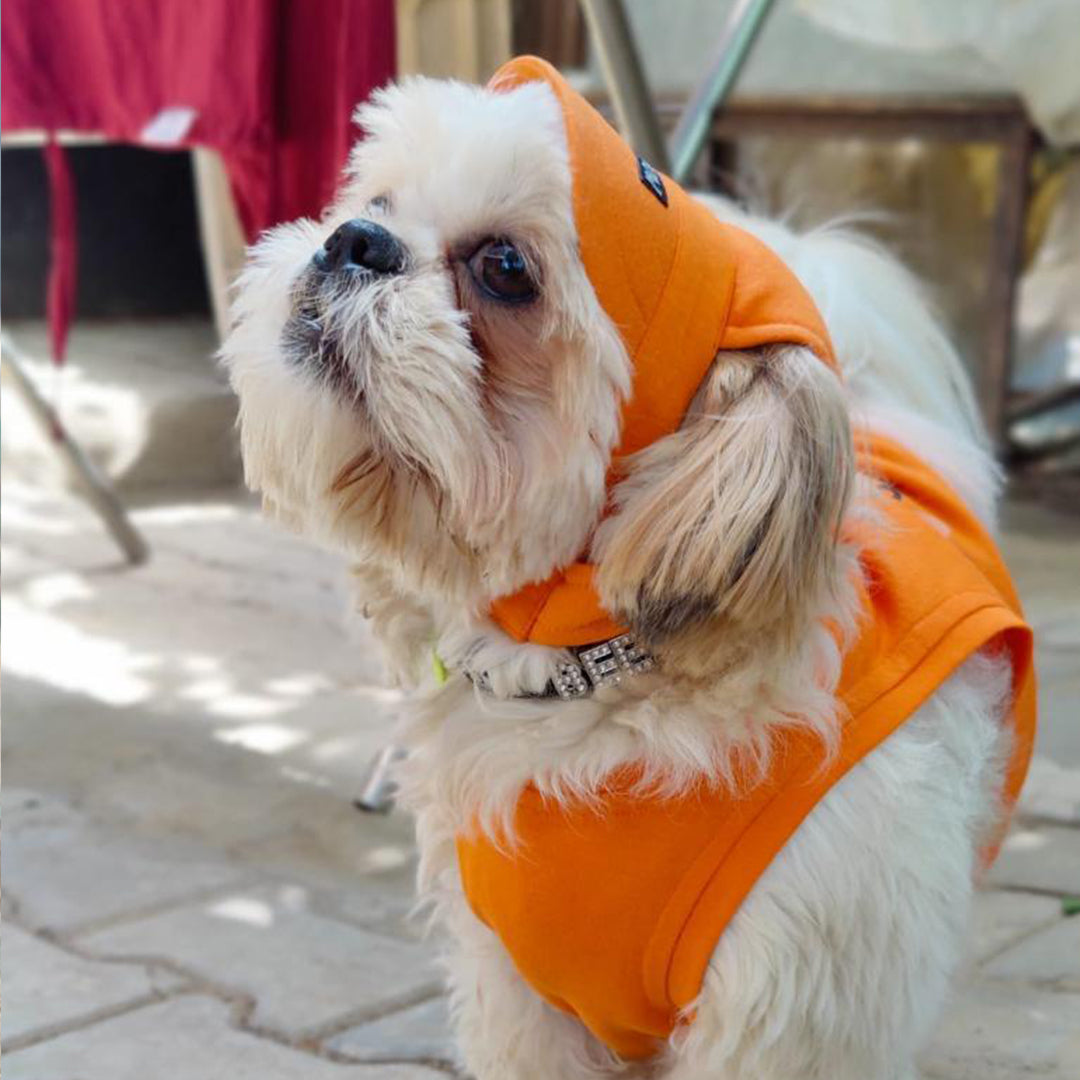 Orange Baseball Cap
