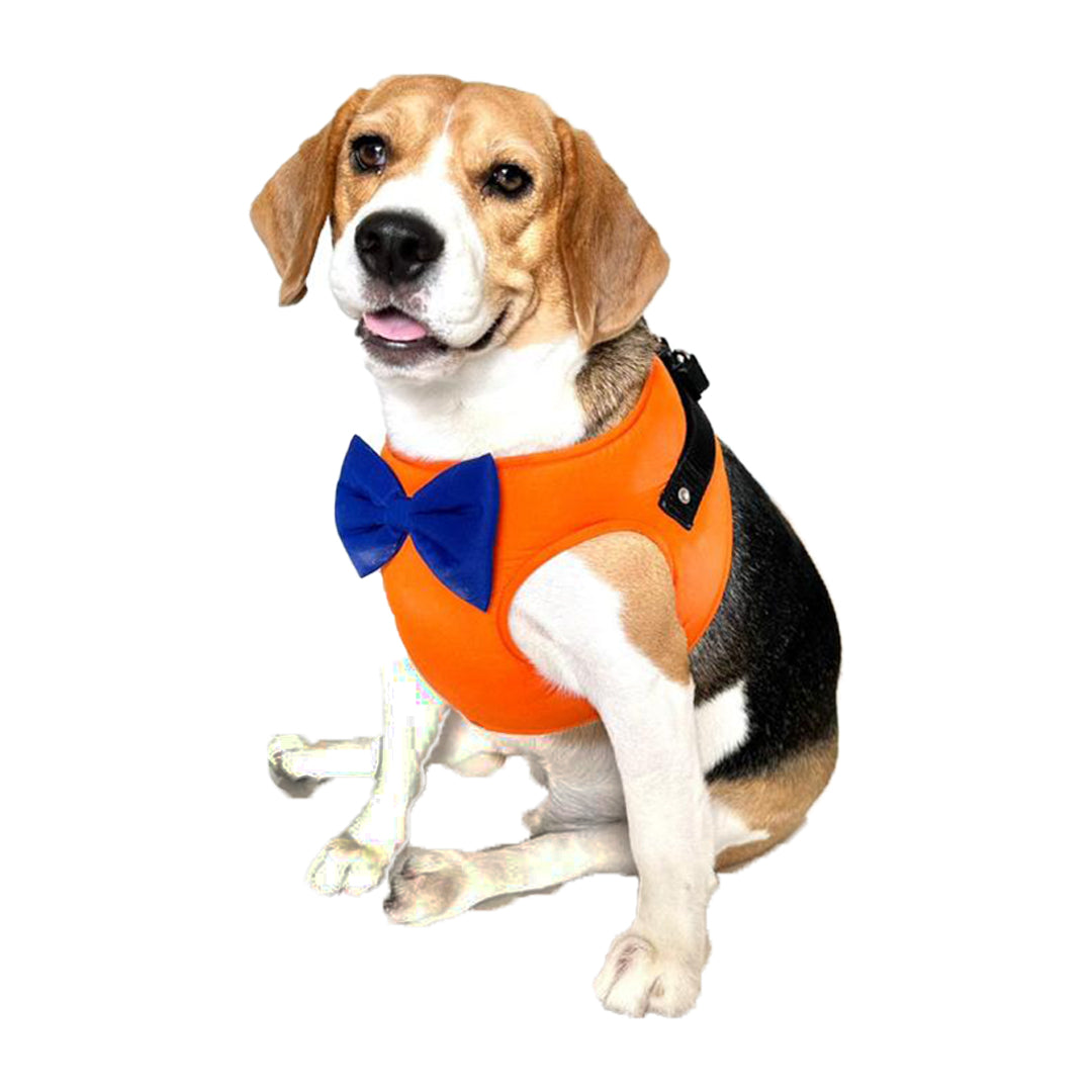Orange Bodysuit harness