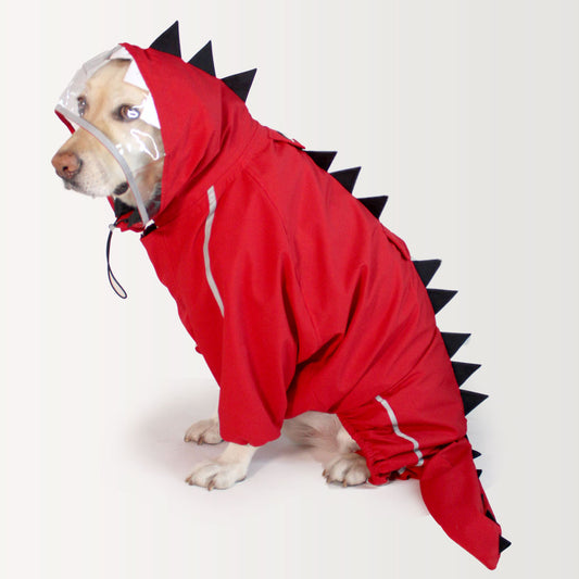 Red Dino Raincoat