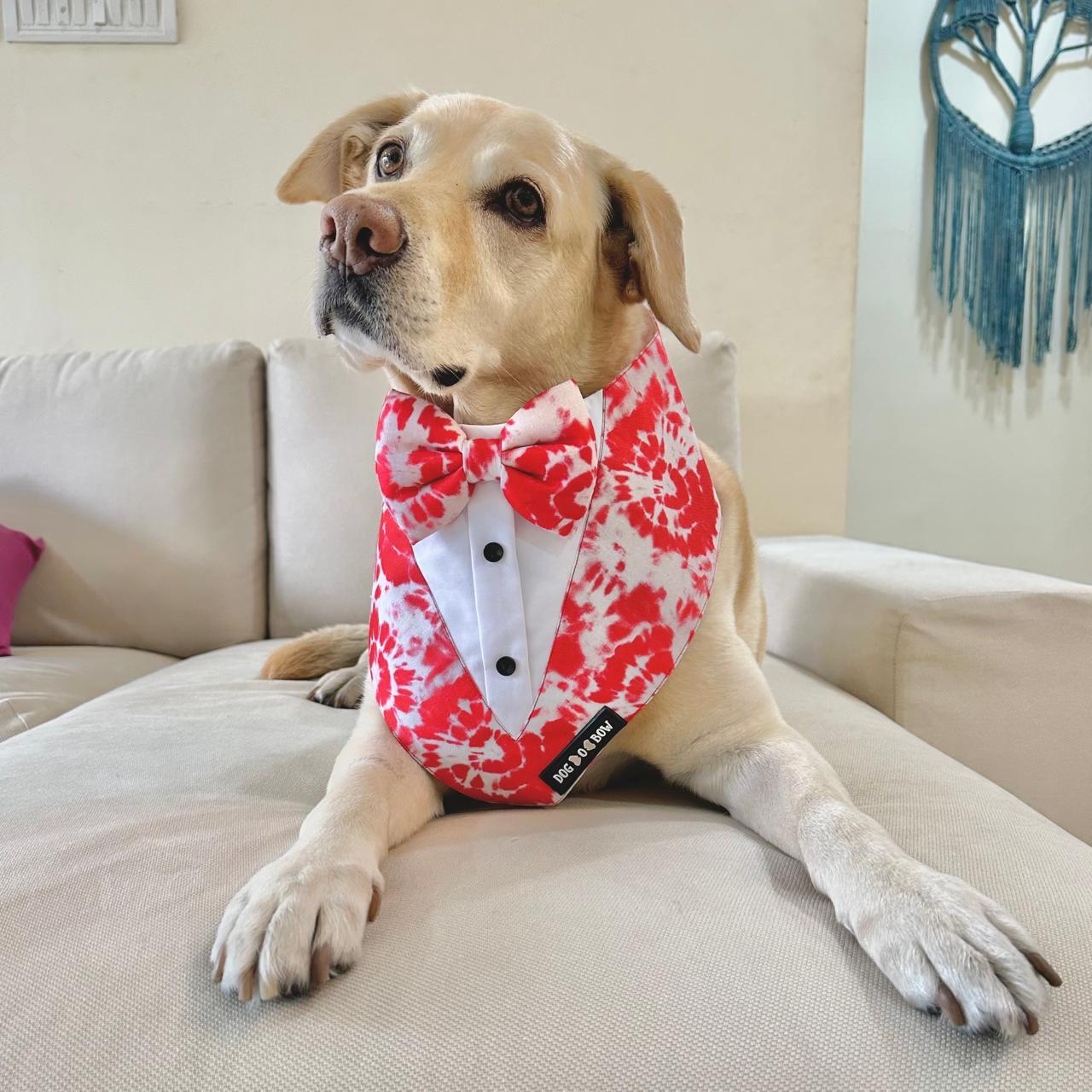 tie bandana for dog