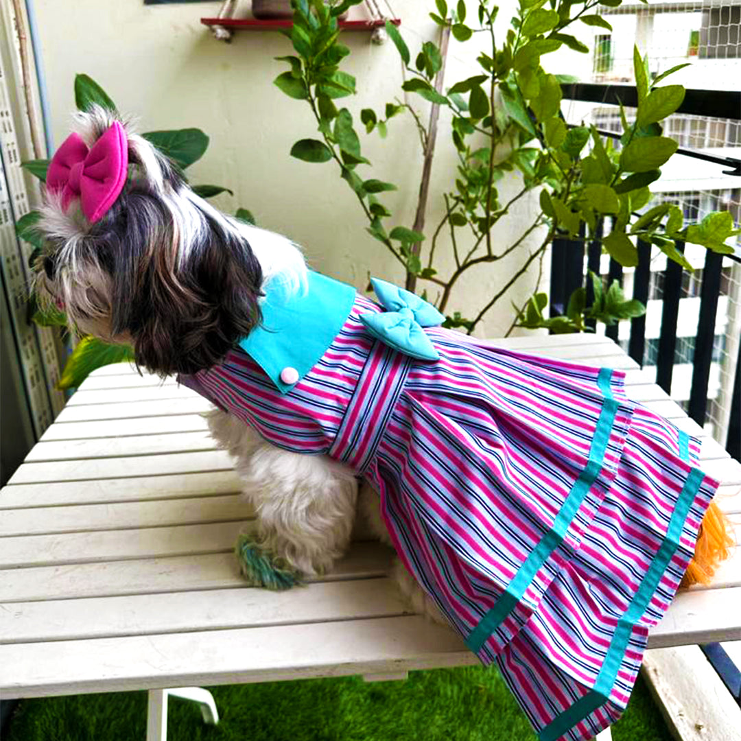 Sugar Stripe Dress