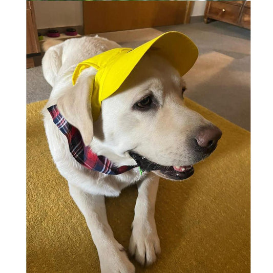 Yellow Baseball Cap