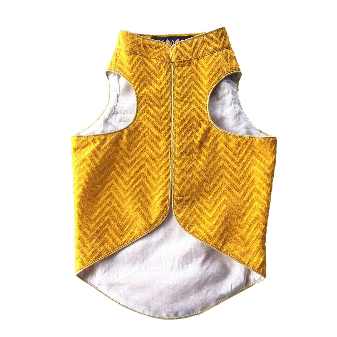Yellow Chevron Sherwani