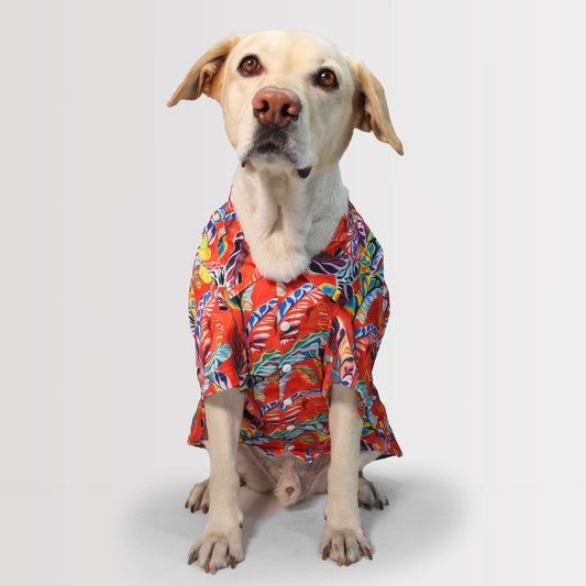 Red Hawaii Shirt