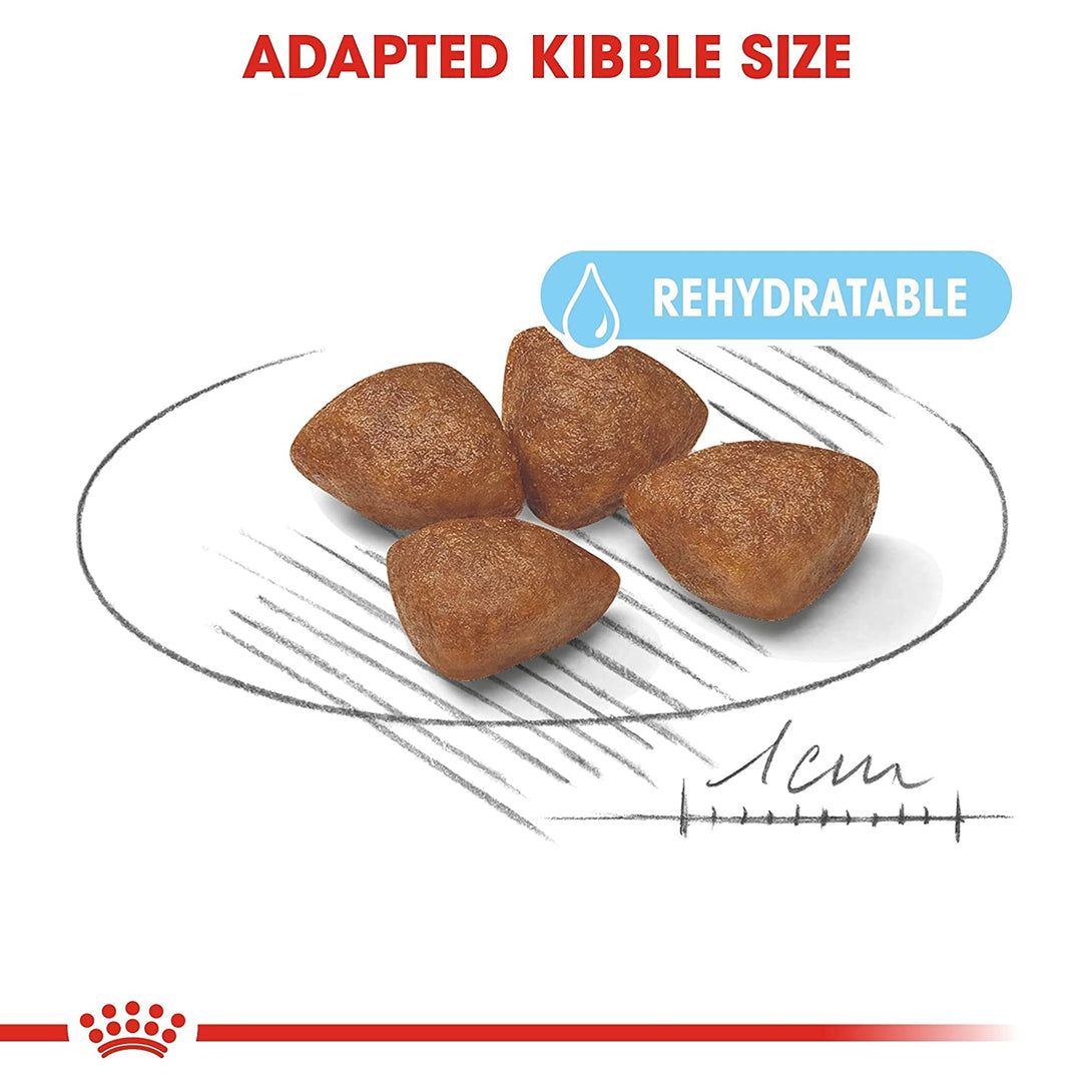Royal Canin Mini Starter