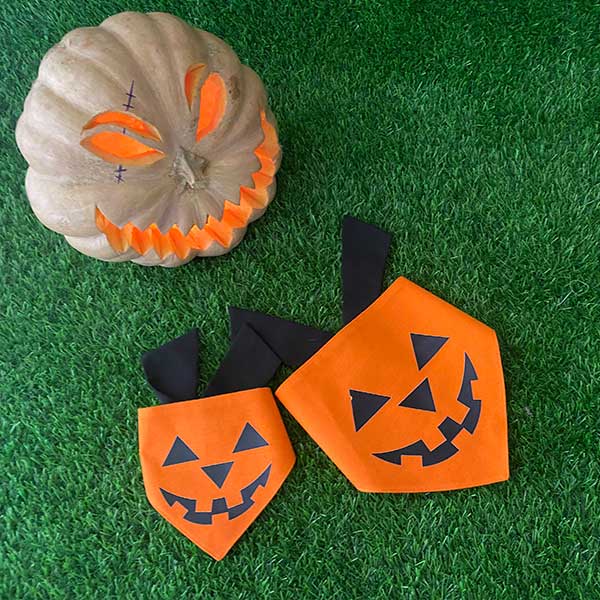 Pup-Kin Scarf