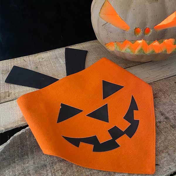 Pup-Kin Scarf