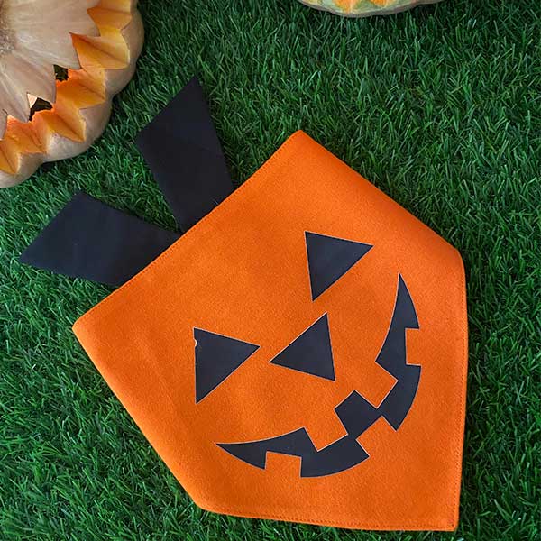 Pup-Kin Scarf