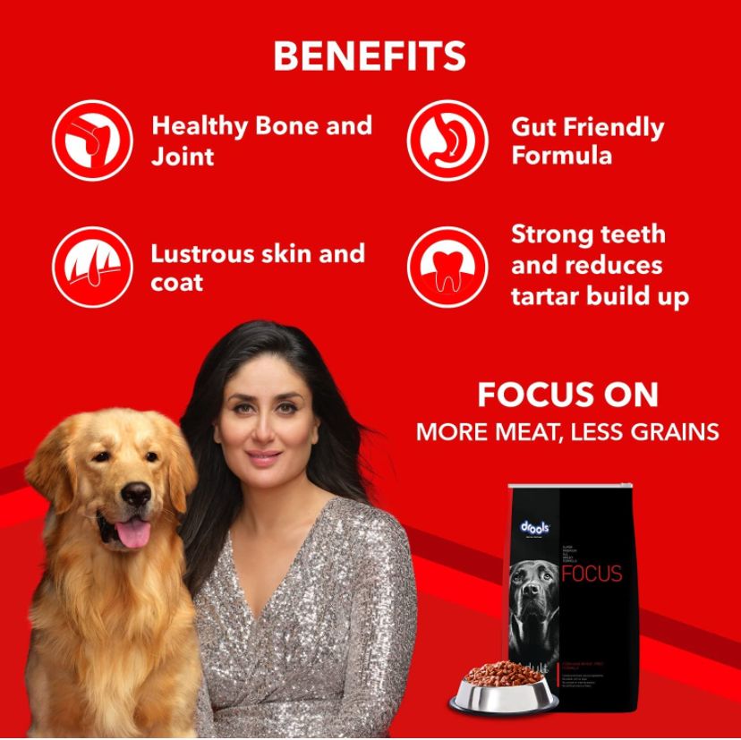 Drools Focus Adult 4 Kg