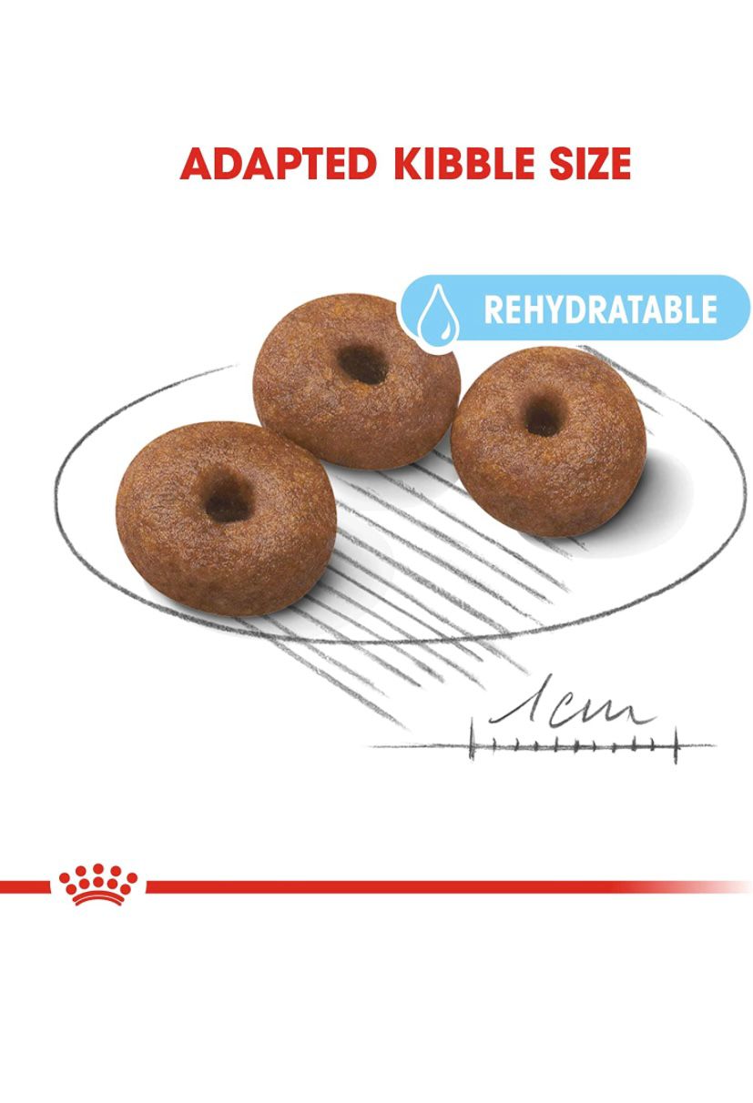 Royal Canin Giant Starter