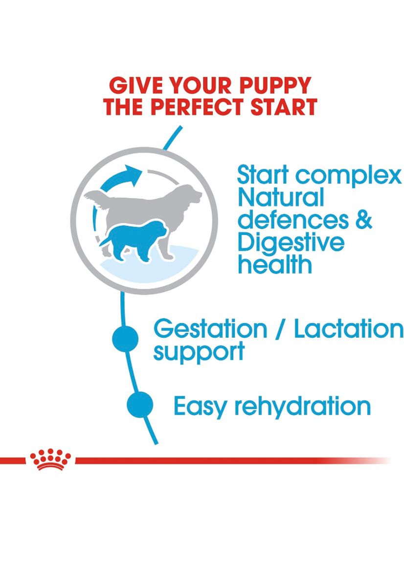 Royal Canin Giant Starter
