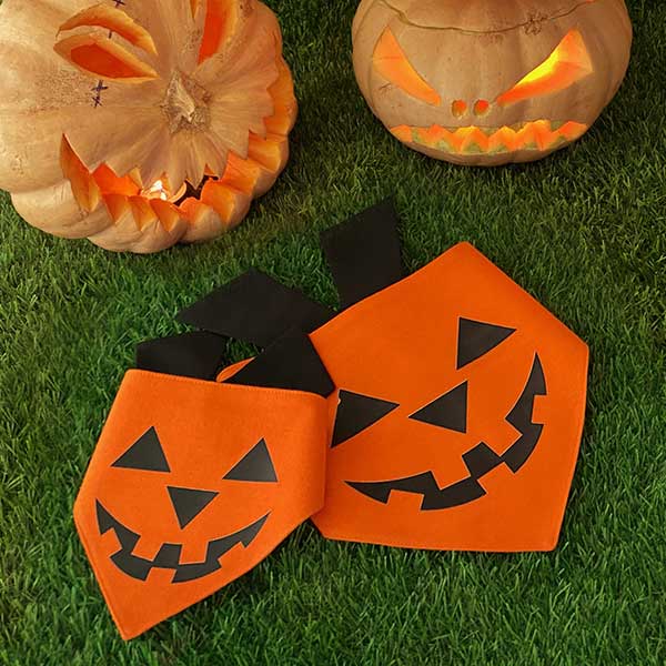 Pup-Kin Scarf