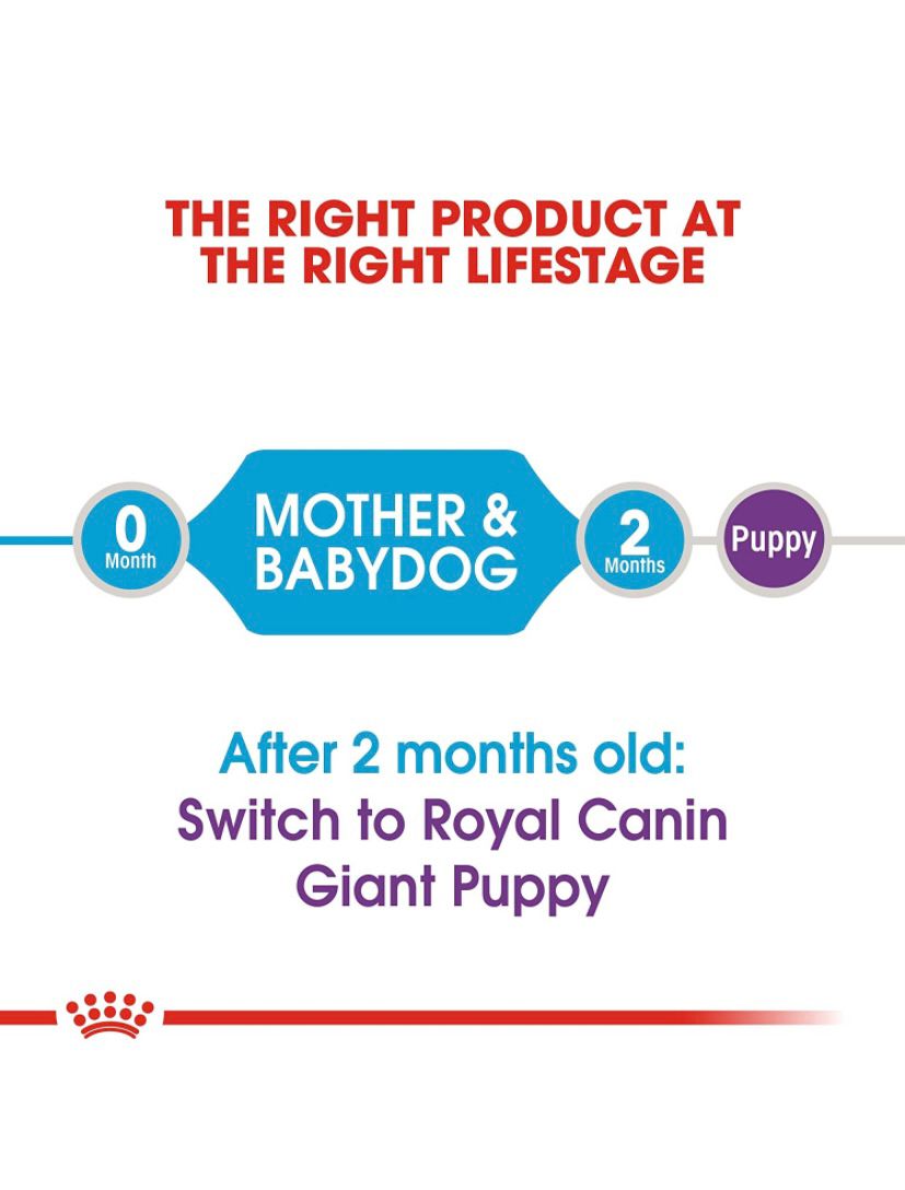 Royal Canin Giant Starter