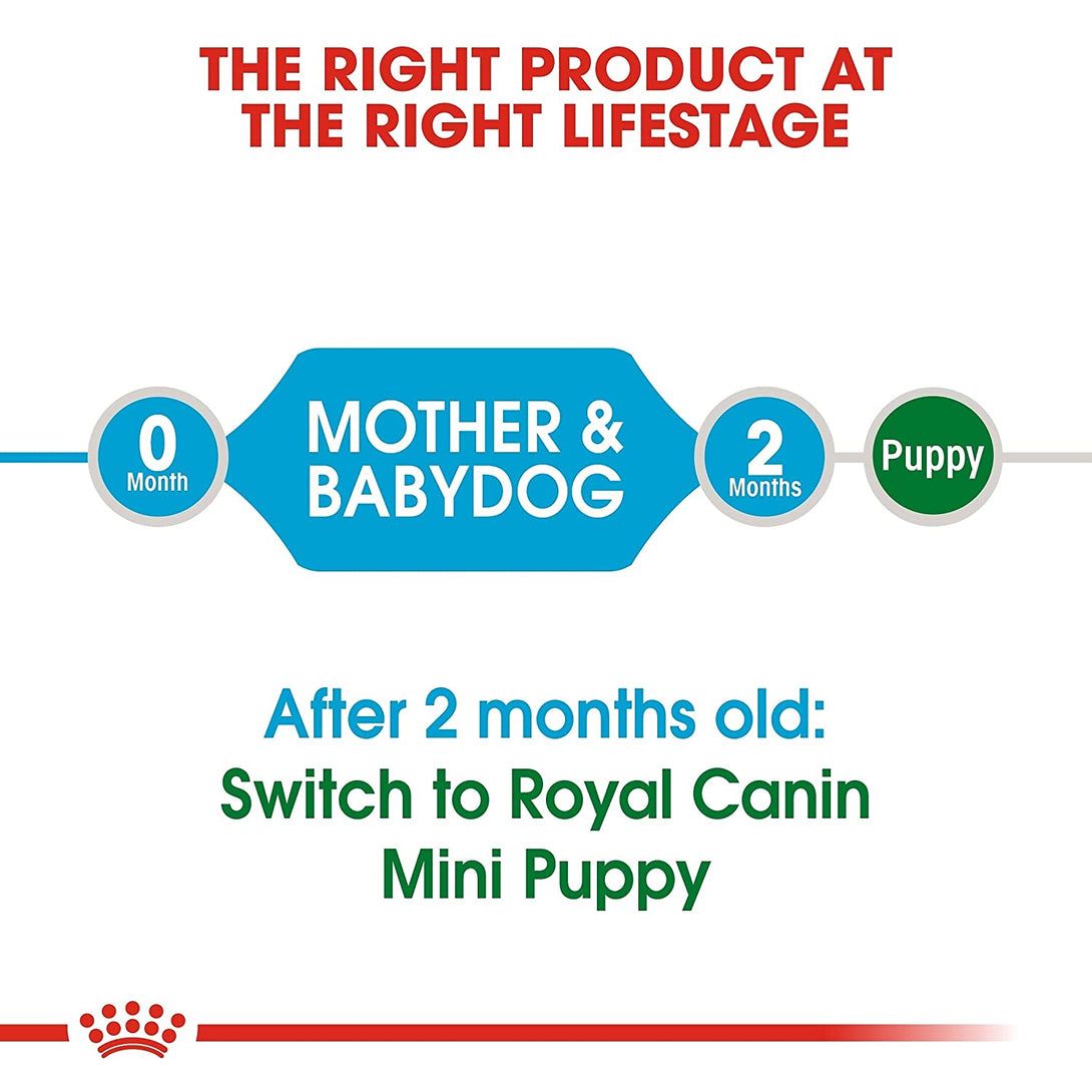 Royal Canin Mini Starter