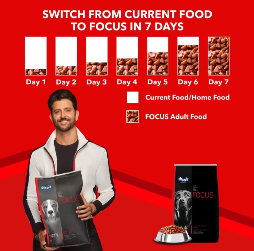 Drools Focus Adult 4 Kg