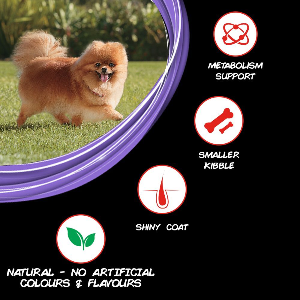 Supercoat Small Breed Adult 3kg