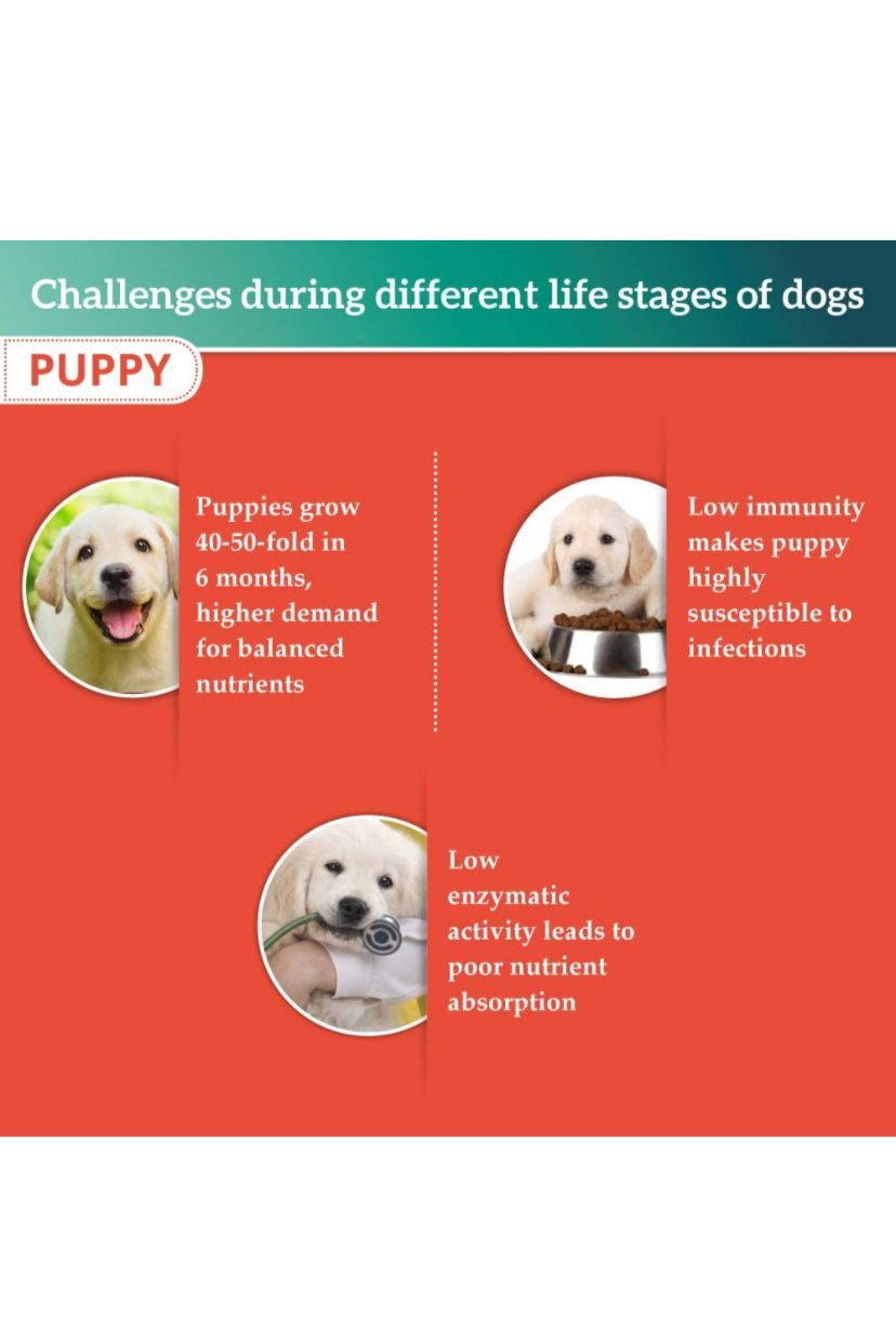 Himalaya Puppy Food