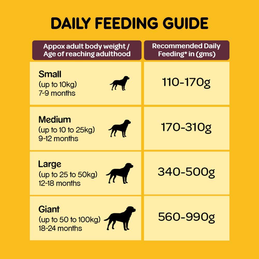 Pedigree Adult (Meat And Rice)