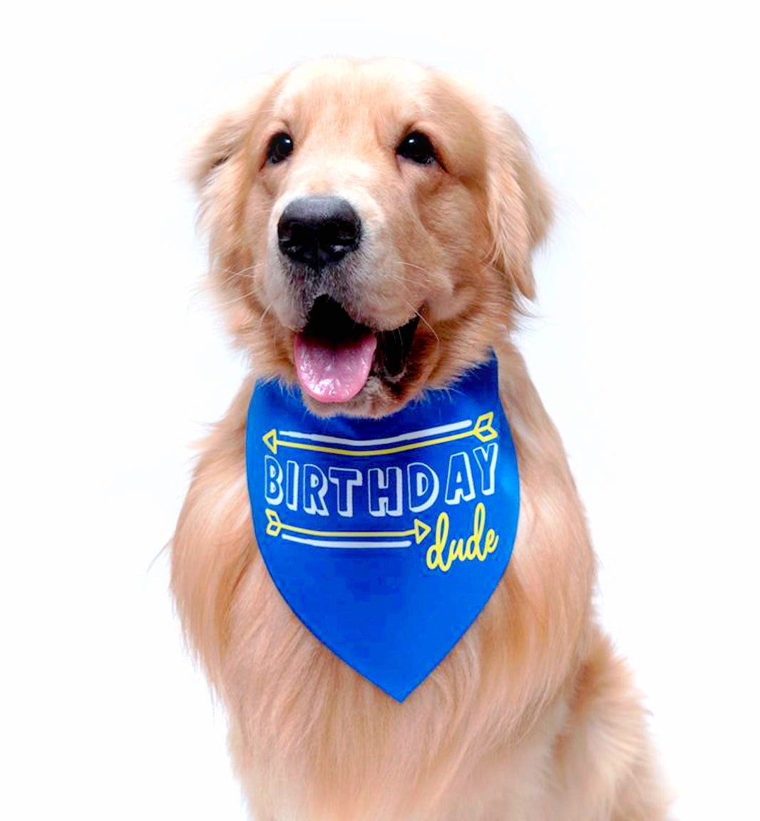 Birthday Dude Neckerchief
