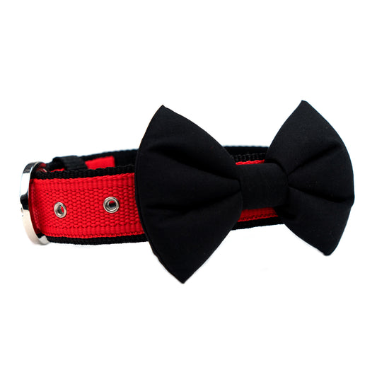 Black Bow Collar