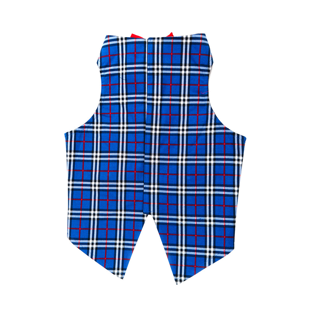 Blue Check Tuxedo