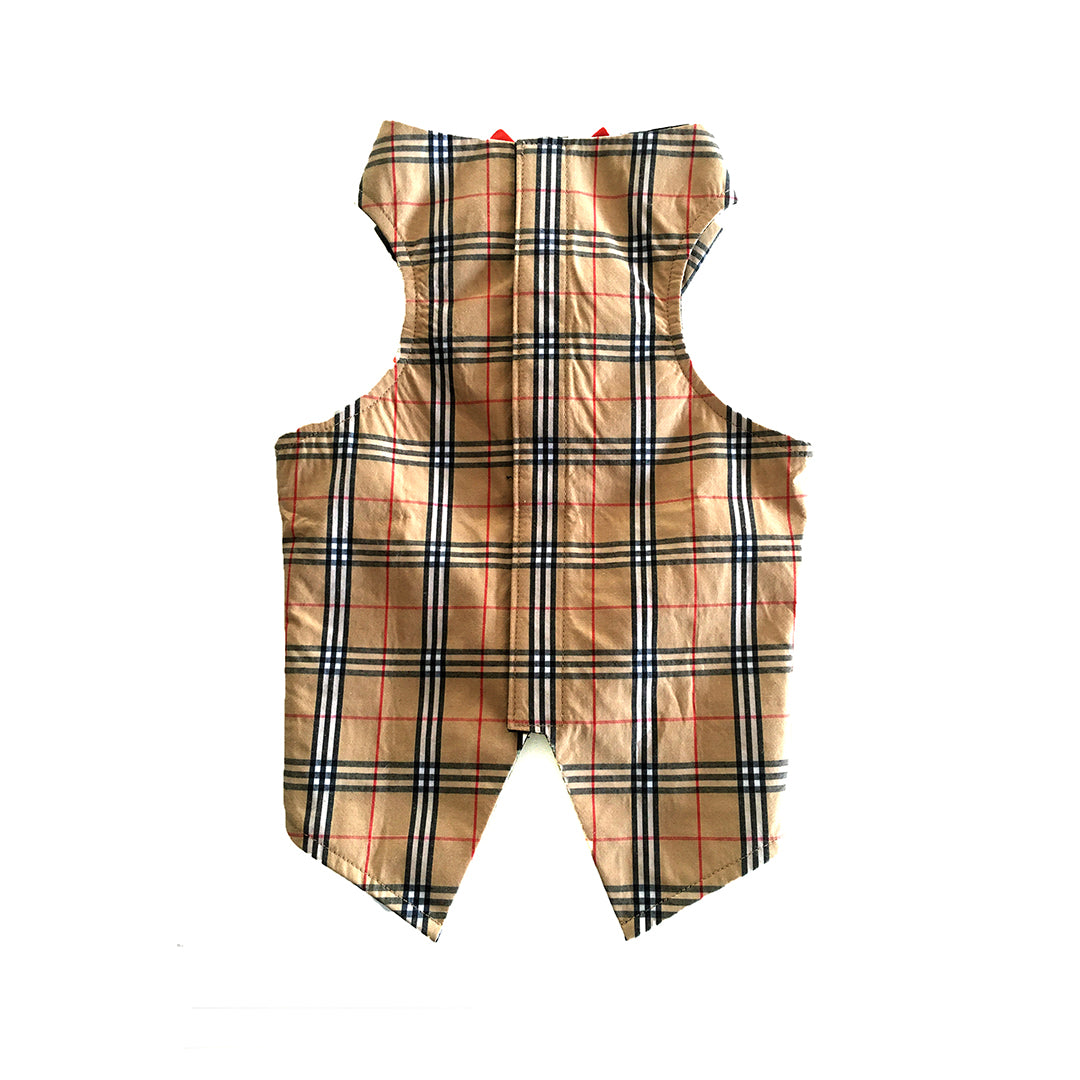 Burberry Tuxedo