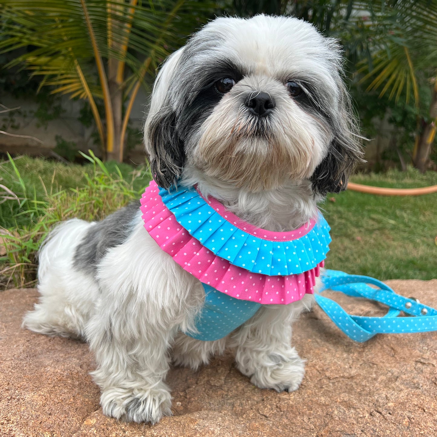 Candy Print Frill Harness