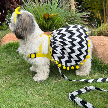 Chevron Harness Frock