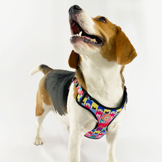 Doggo Print Y-Harness