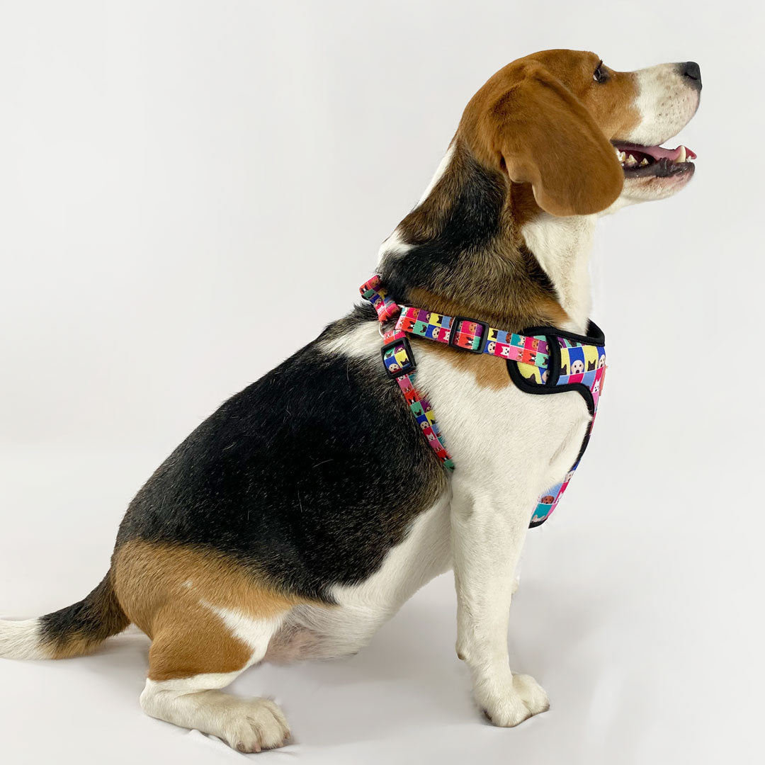 Doggo Print Y-Harness
