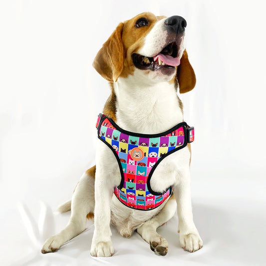 Doggo Print Y-Harness