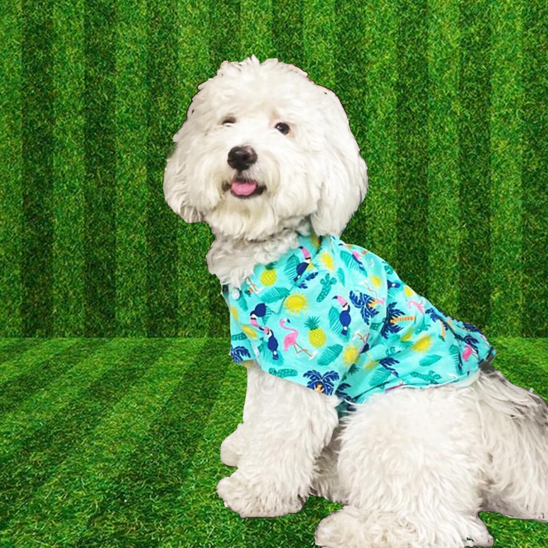 Hawaii Print Shirt