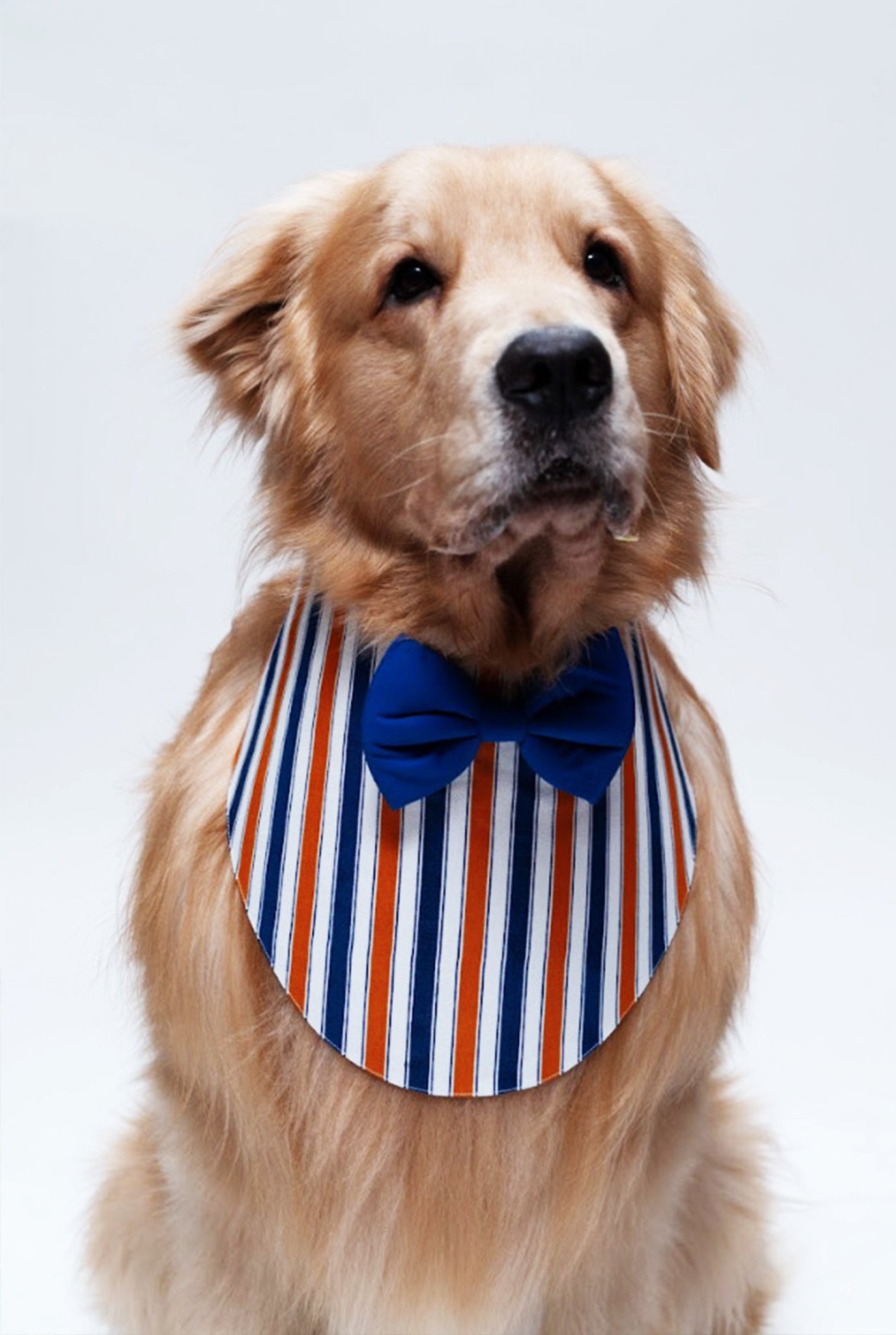 Orange Stripe Bandana
