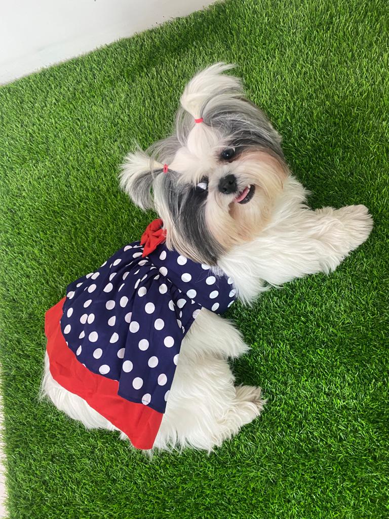 Red Blue Polka Dot