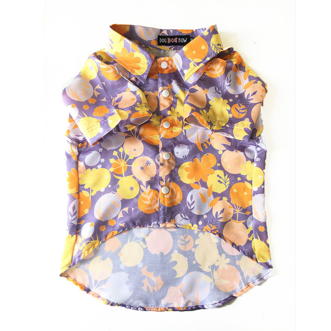 Periwinkle Shirt
