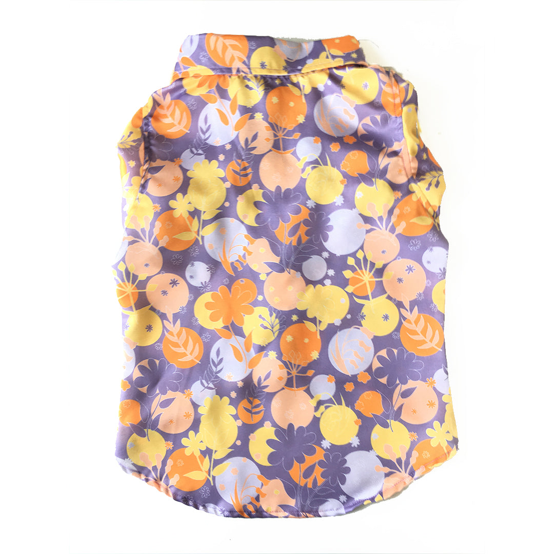 Periwinkle Shirt