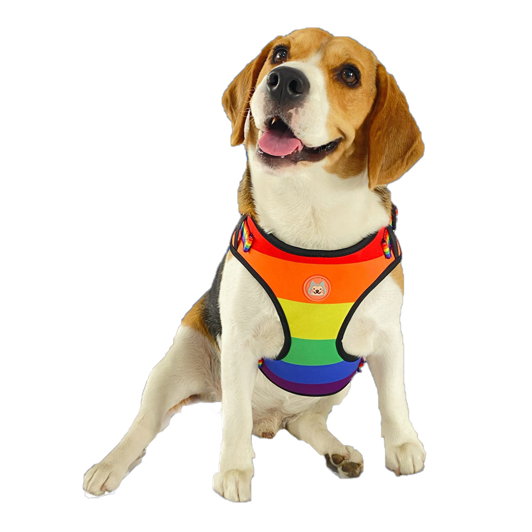 Pride Print Mesh Harness