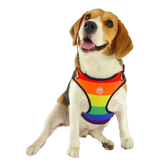 Pride Print Mesh Harness