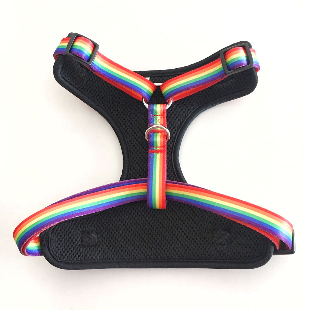 Pride Print Mesh Harness