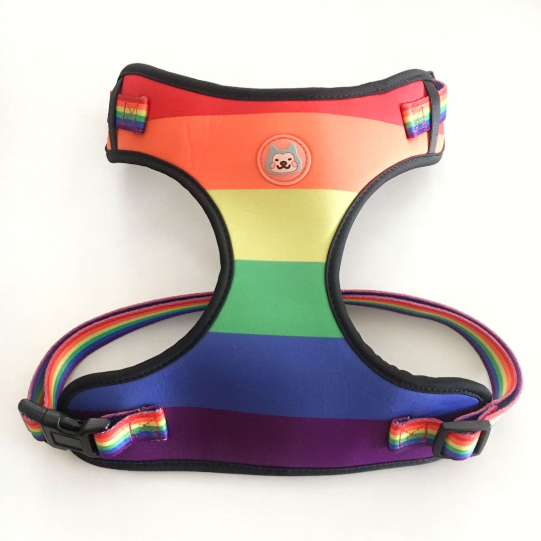 Pride Print Mesh Harness